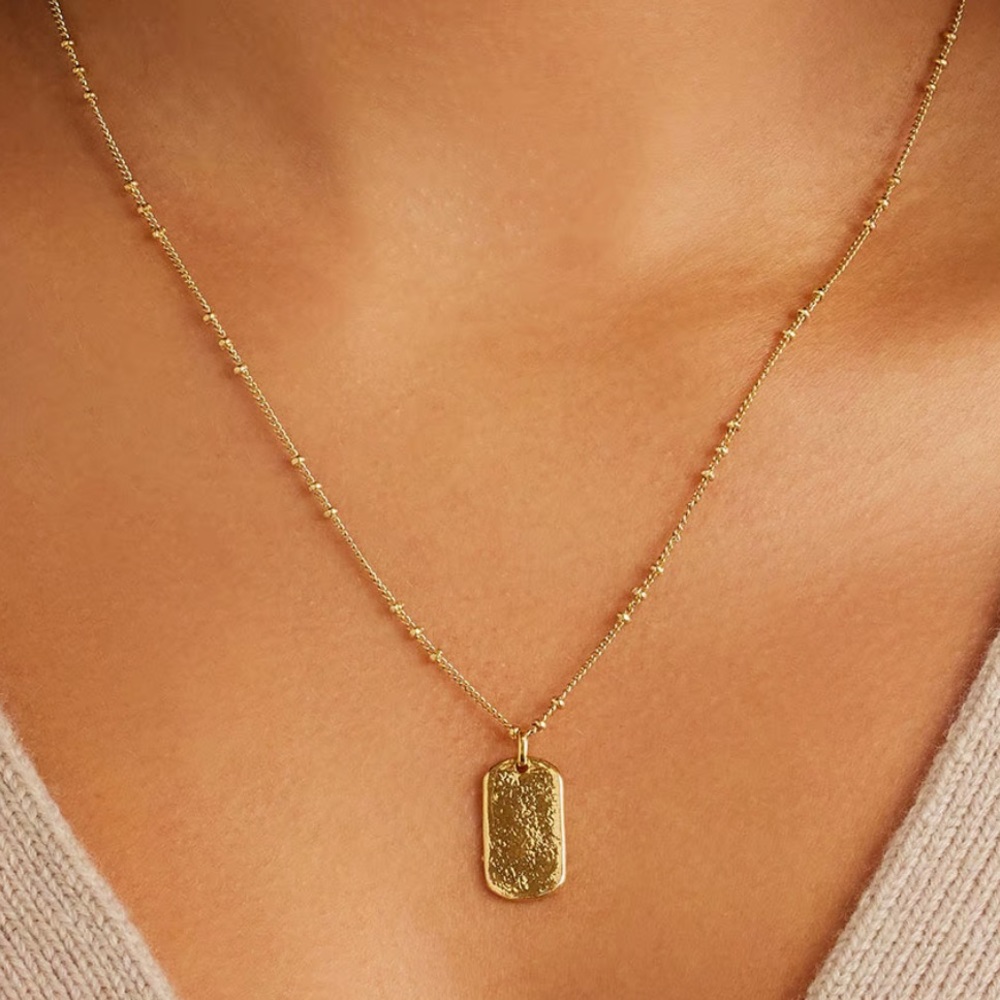 Gorjana Griffin Dog tag necklace